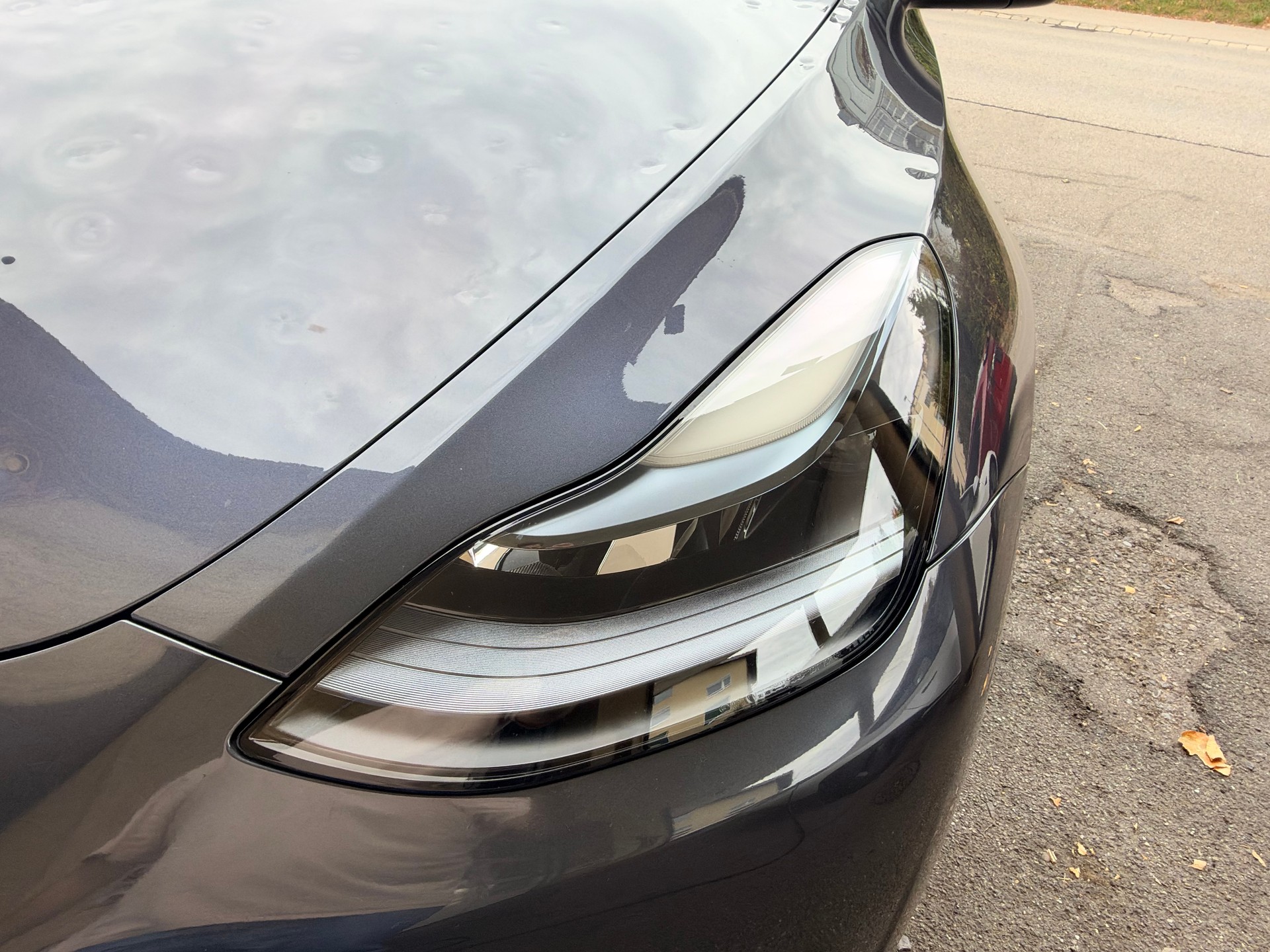 TESLA Model Y RWD-image-2