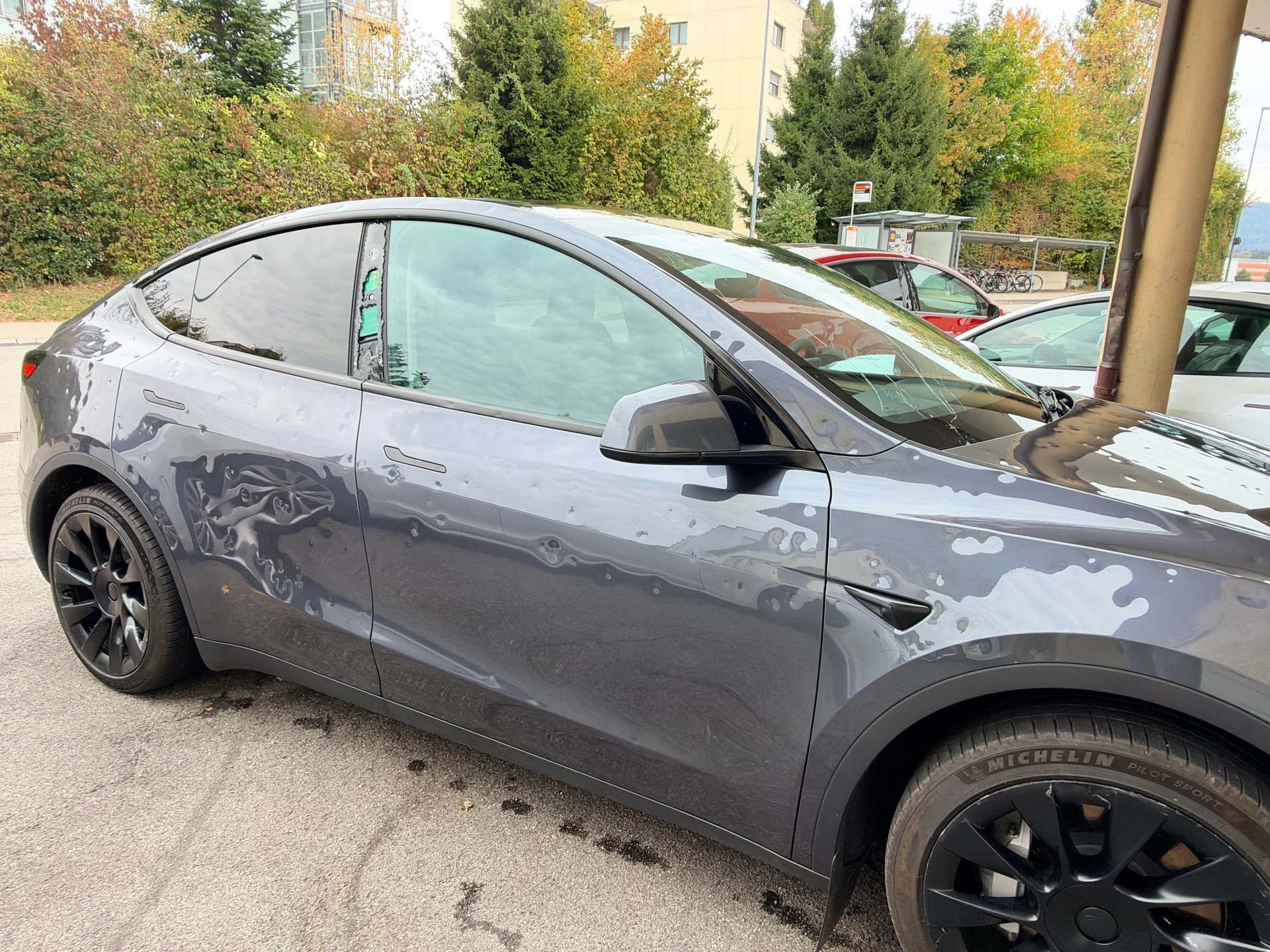 TESLA Model Y RWD-image-5