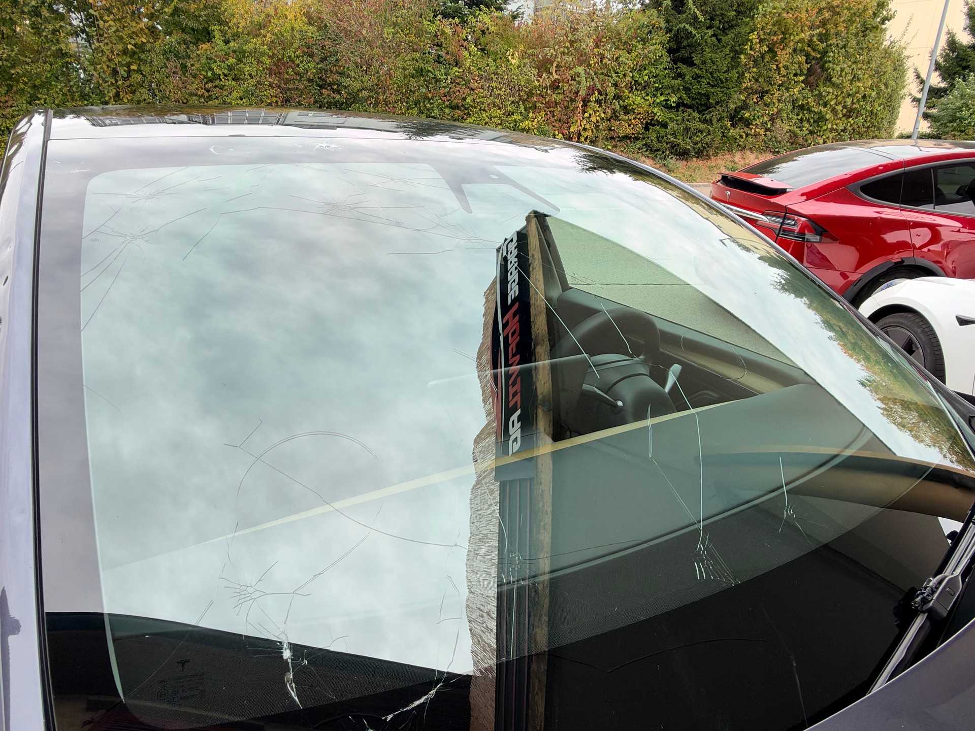 TESLA Model Y RWD-image-3