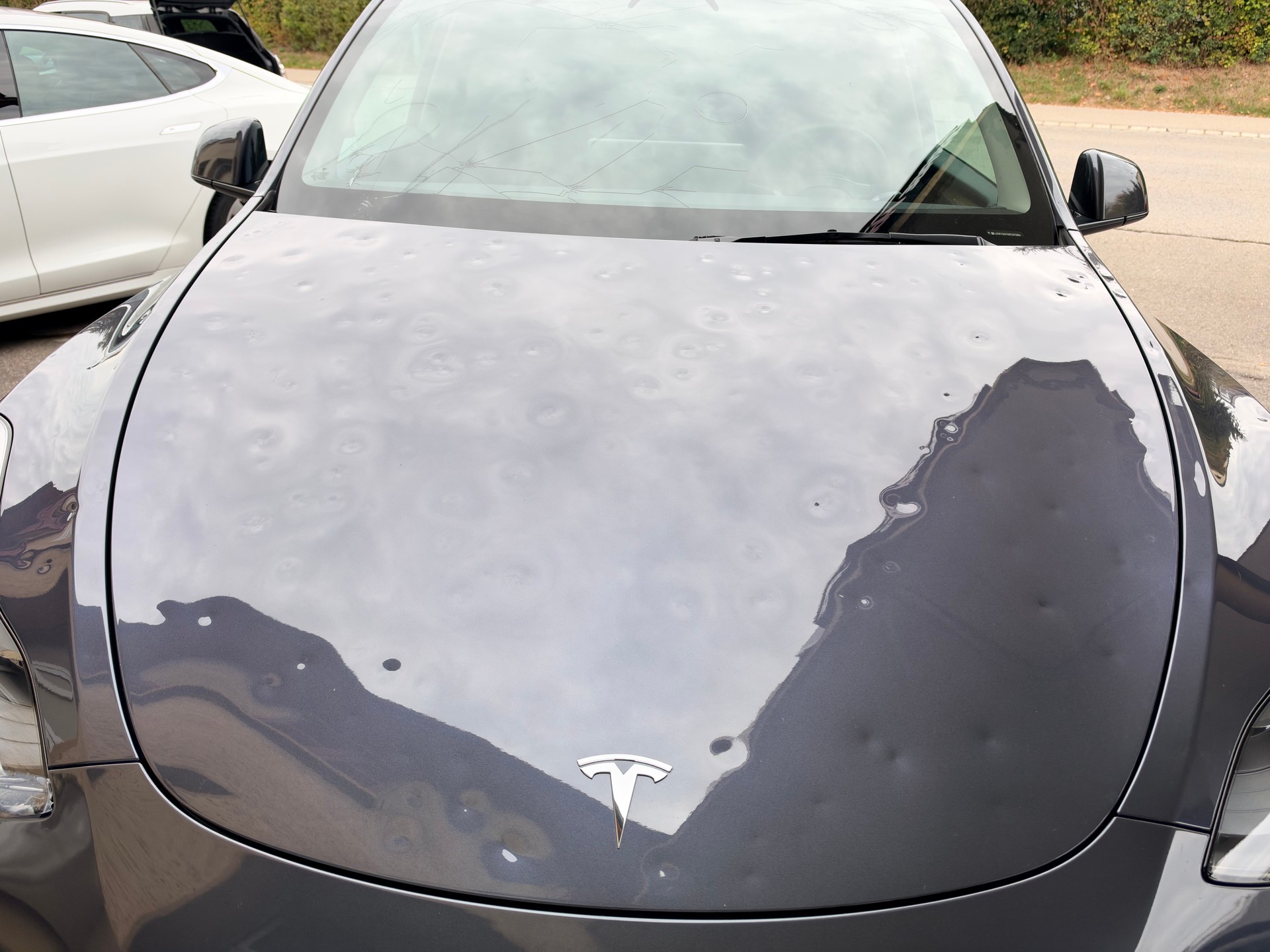 TESLA Model Y RWD-image-4