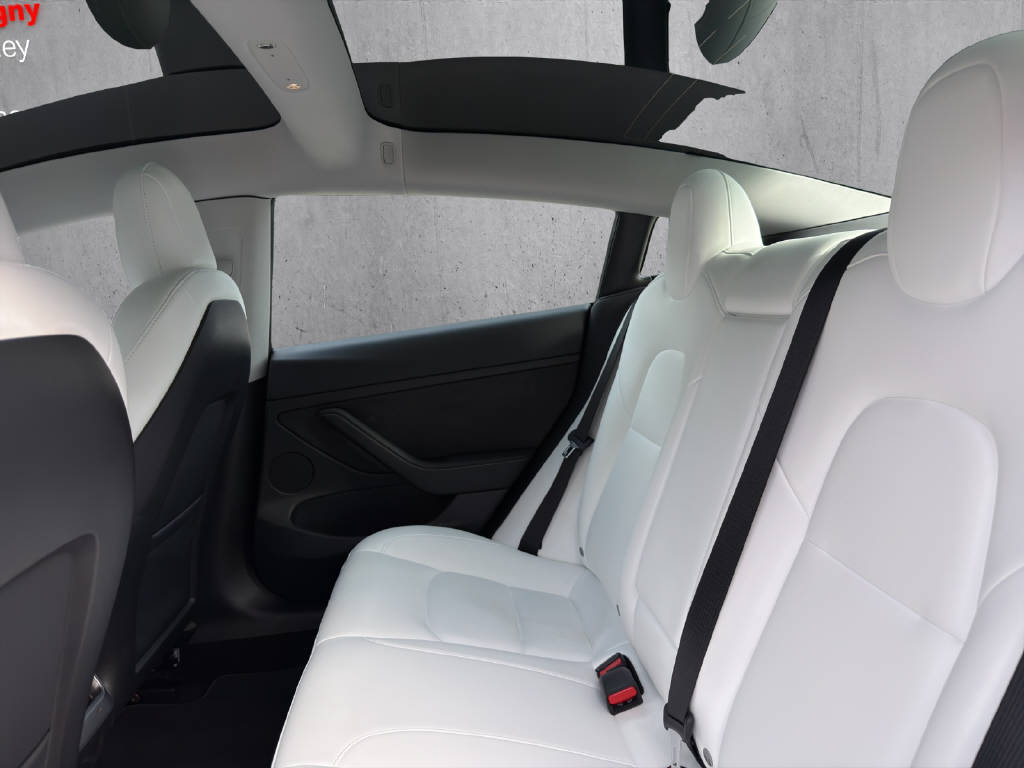 TESLA Model 3 Standart Range Plus-image-14