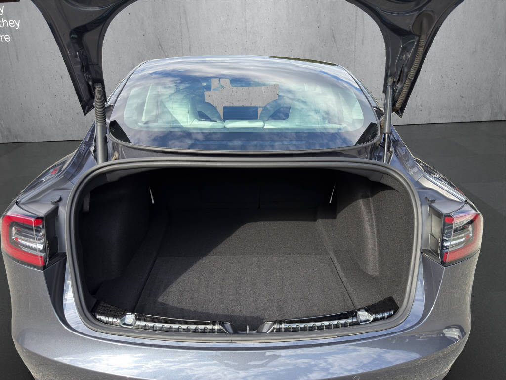 TESLA Model 3 Standart Range Plus-image-15