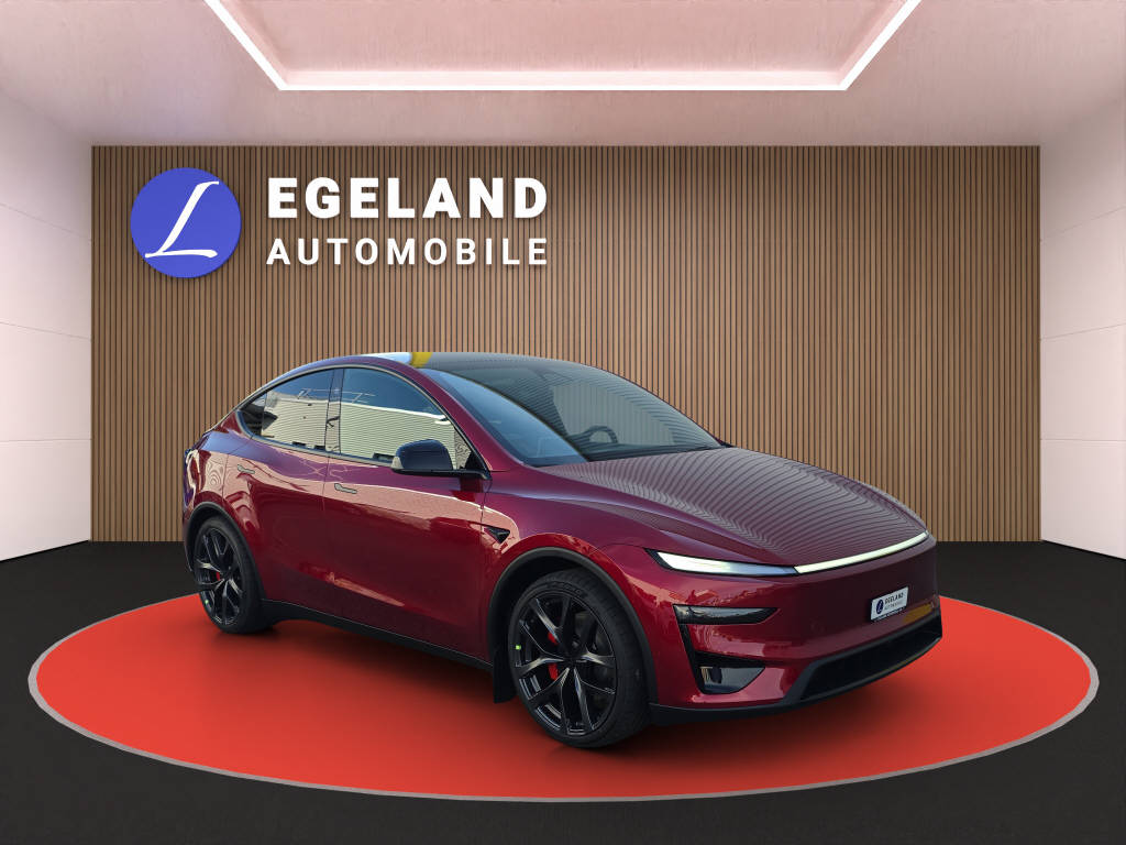 TESLA Model Y Performance AWD-image-1
