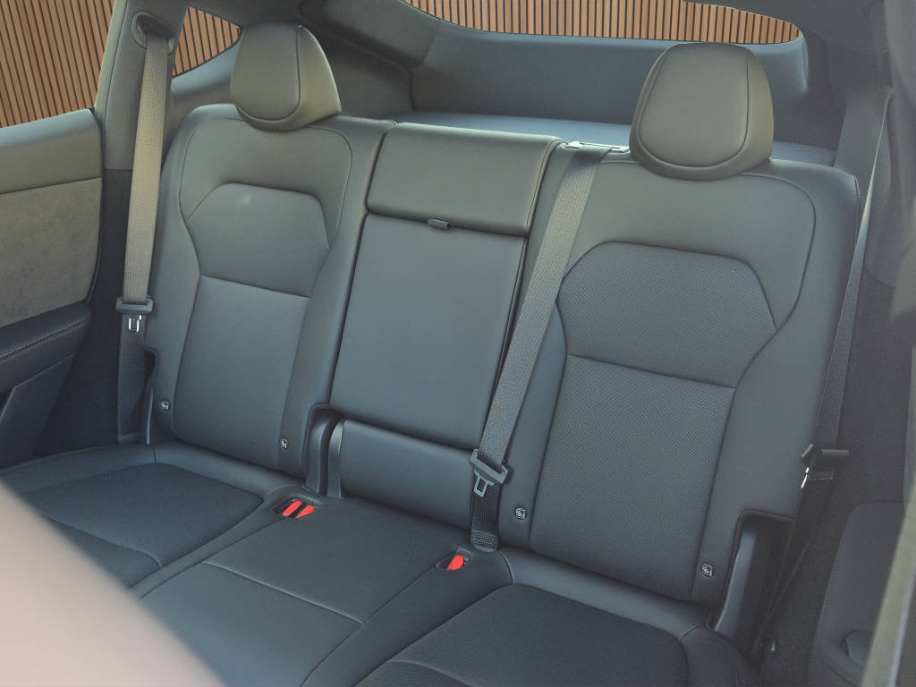 TESLA Model Y Performance AWD-image-17