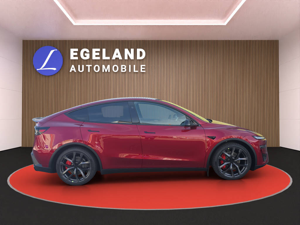 TESLA Model Y Performance AWD-image-7