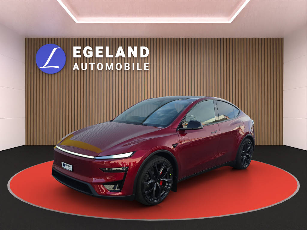 TESLA Model Y Performance AWD-image-0