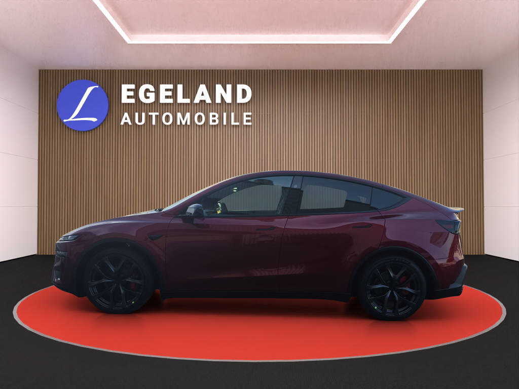 TESLA Model Y Performance AWD-image-6