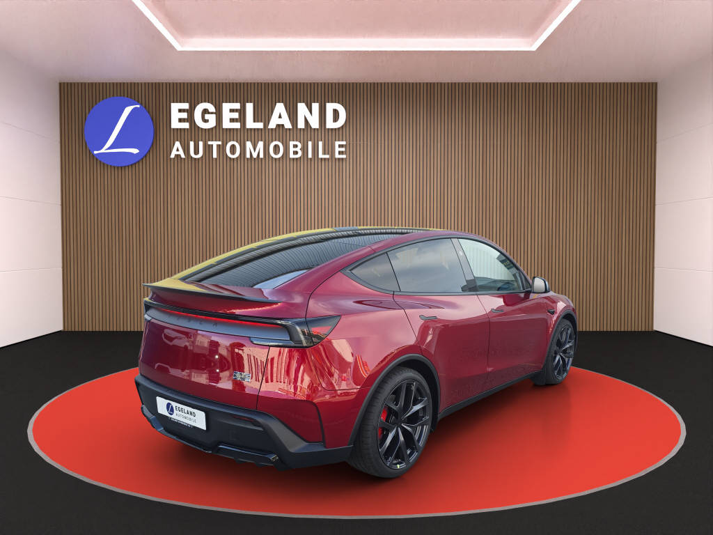 TESLA Model Y Performance AWD-image-3