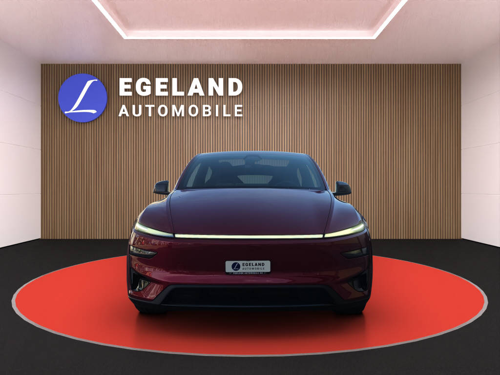 TESLA Model Y Performance AWD-image-2