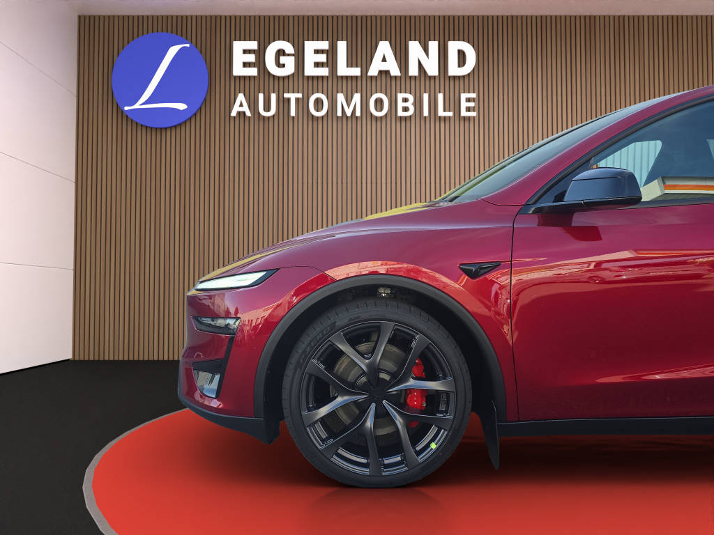TESLA Model Y Performance AWD-image-9