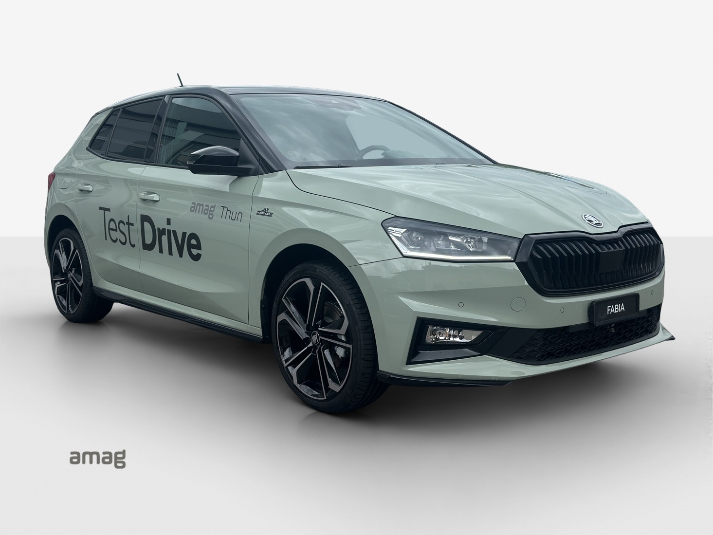 SKODA Fabia 1.0 TSI Monte Carlo DSG-image-5
