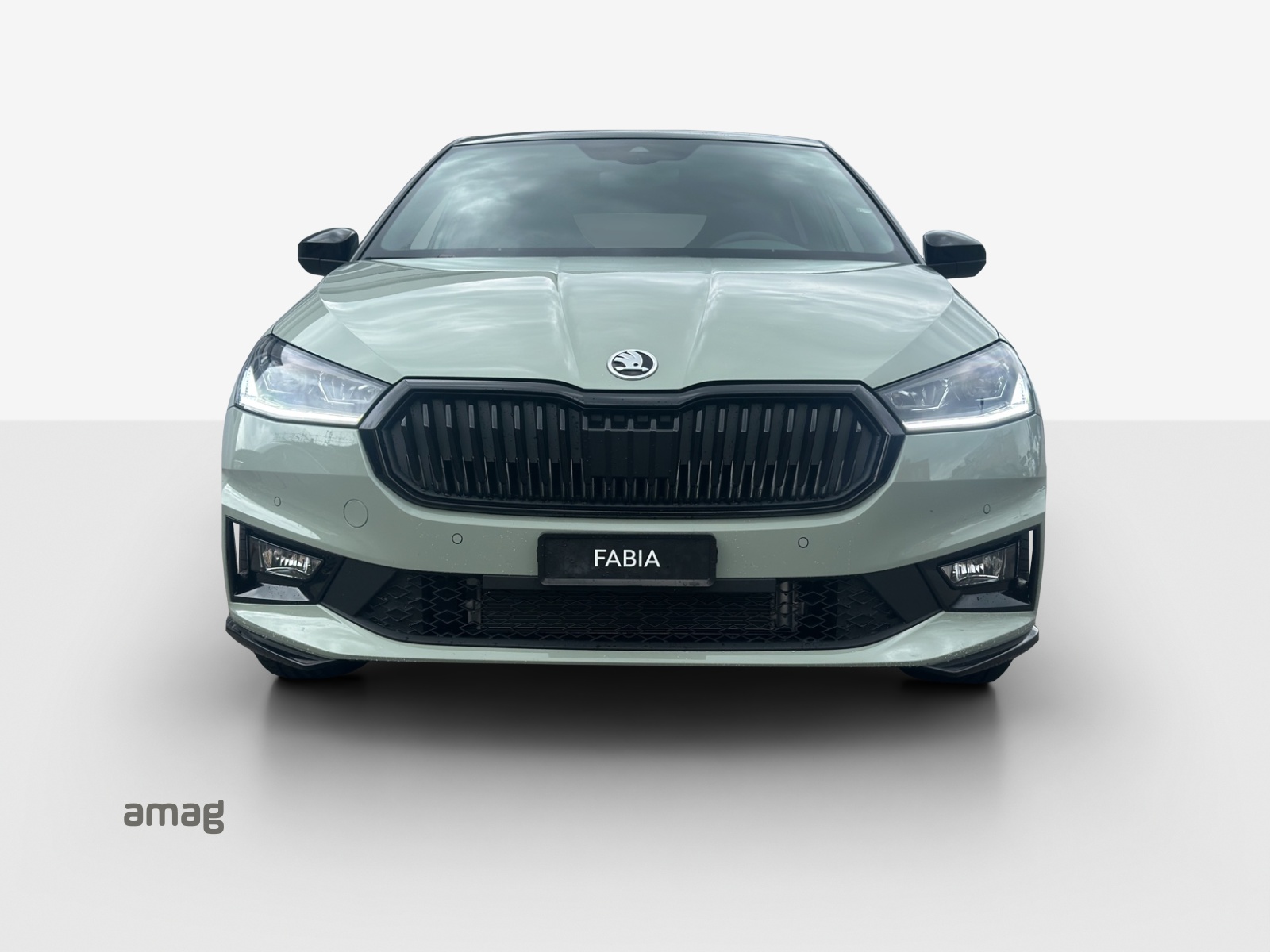 SKODA Fabia 1.0 TSI Monte Carlo DSG-image-6
