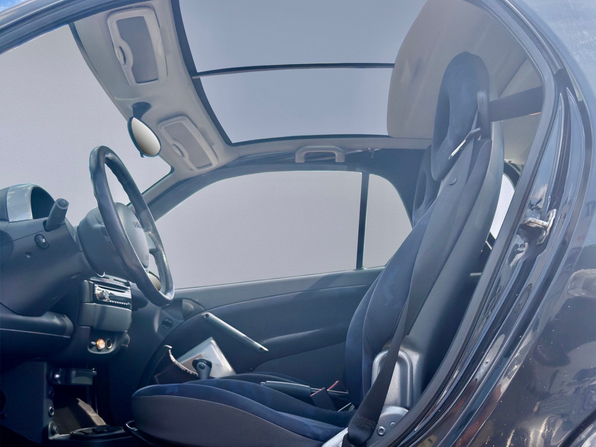 SMART fortwo passion Automat, Panorama, Klima-image-13
