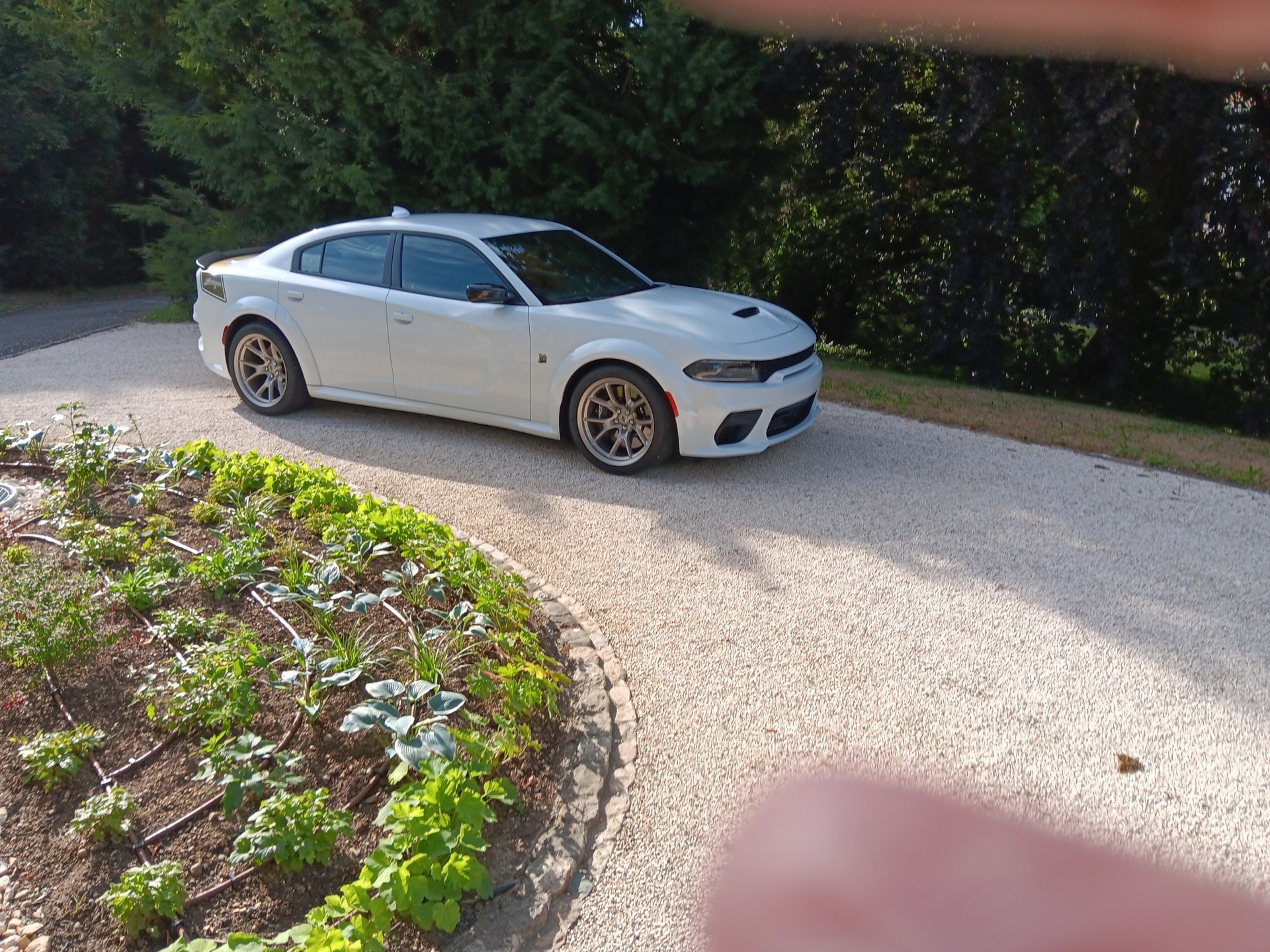 DODGE Charger 392 WB Scatpack Swinger 1/1000-image-1