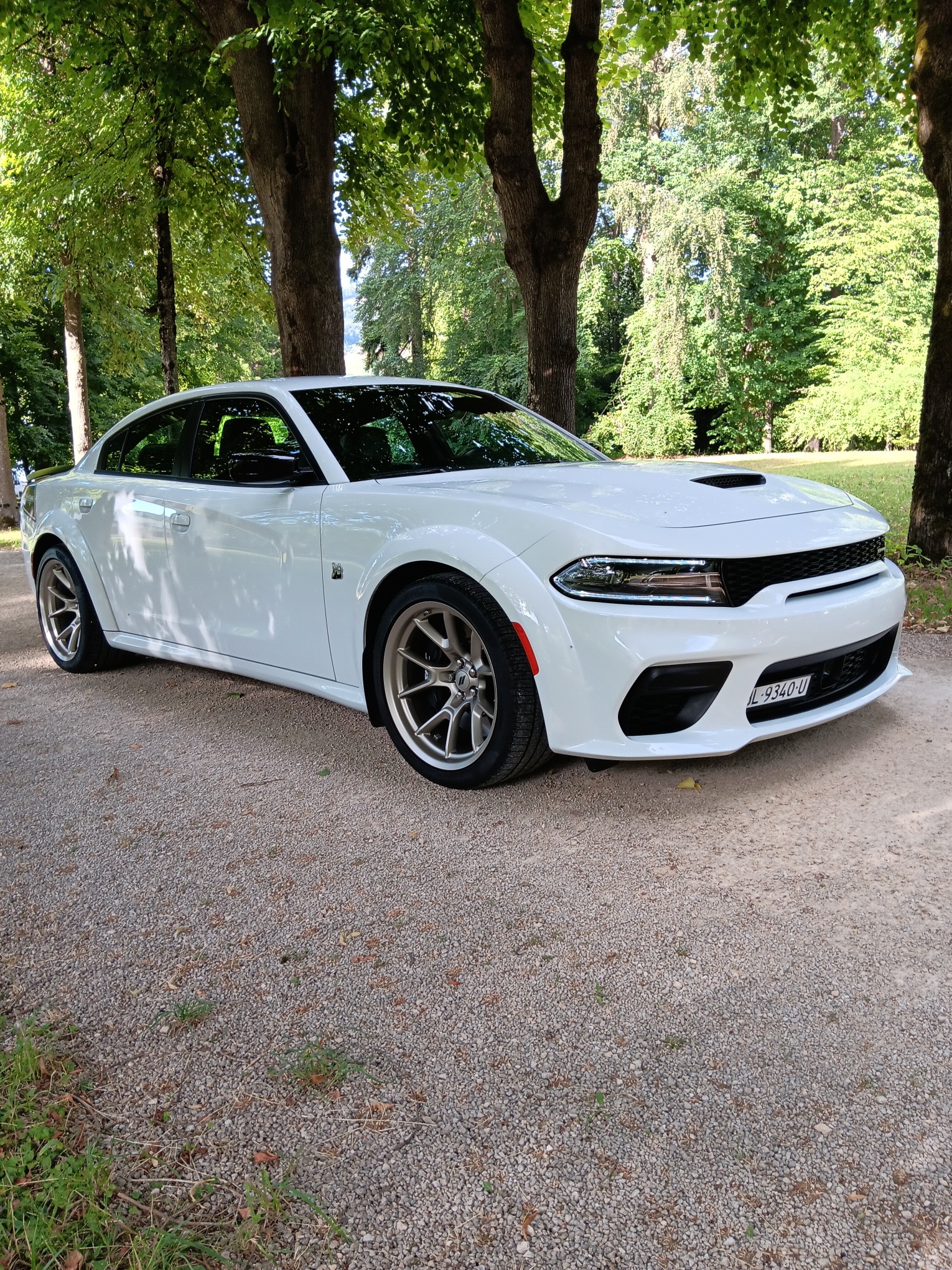 DODGE Charger 392 WB Scatpack Swinger 1/1000-image-10