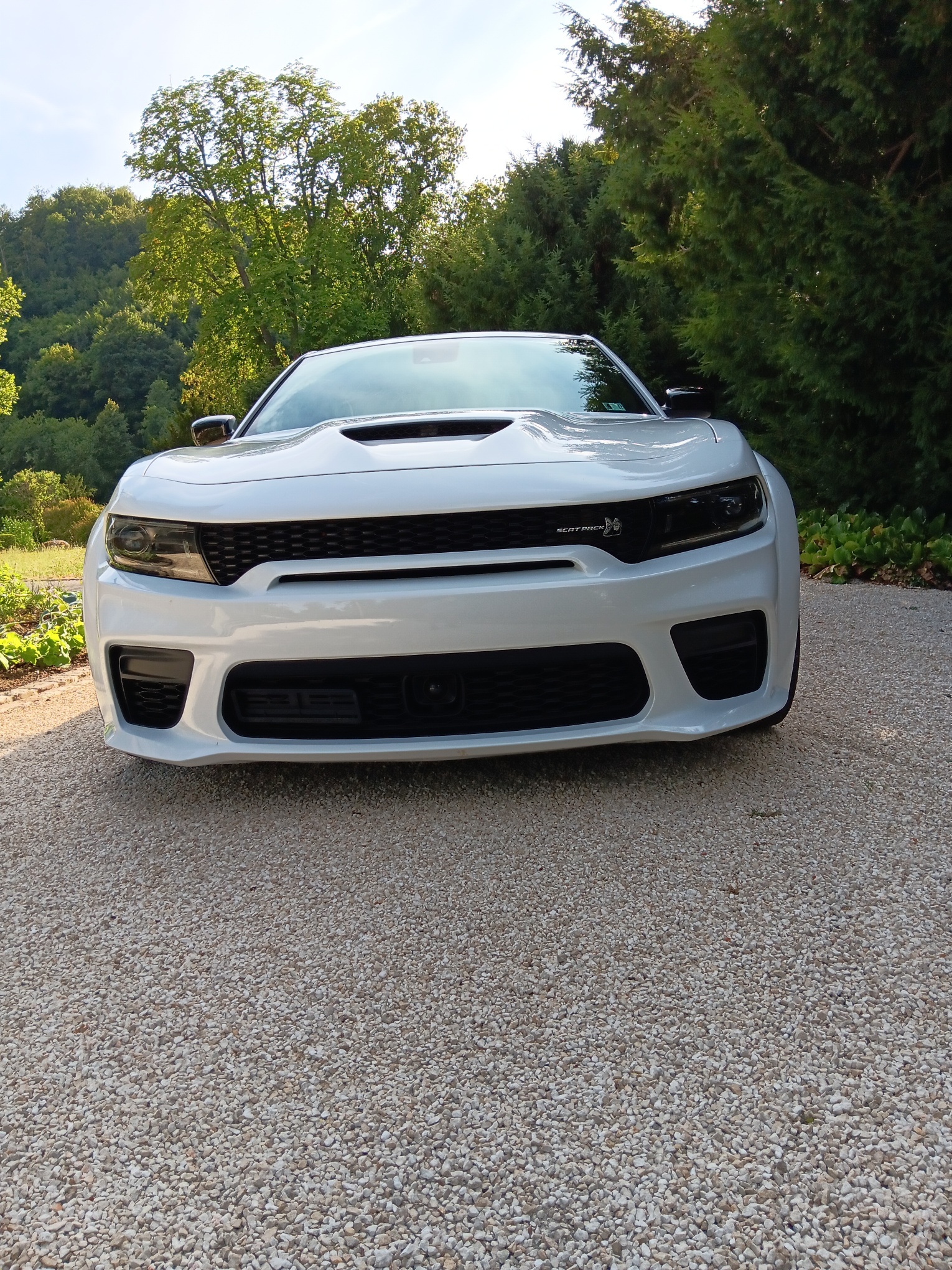DODGE Charger 392 WB Scatpack Swinger 1/1000-image-11