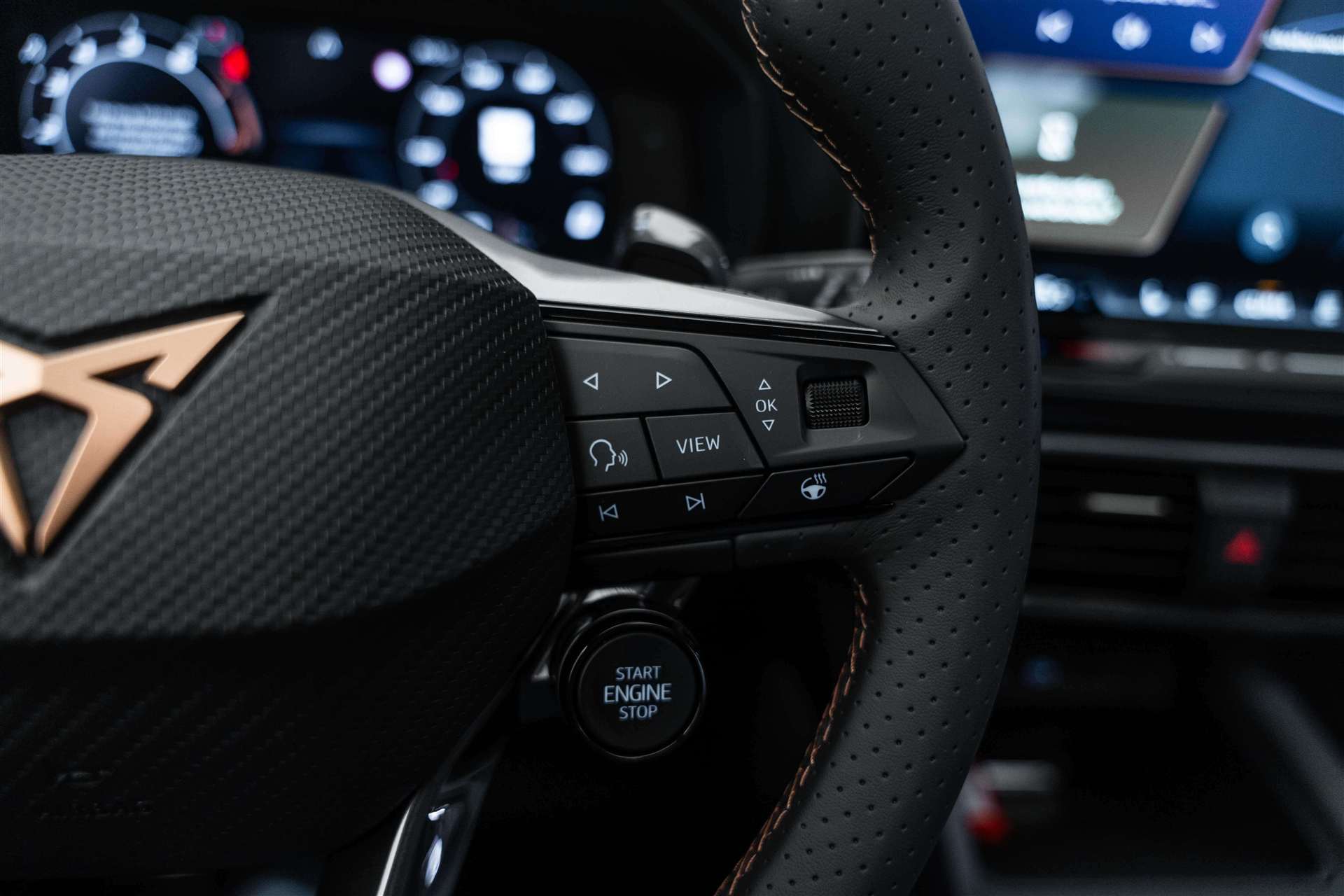 CUPRA Formentor 2.0 TSi Extreme 333PS 4Drive DSG-Automat-image-20