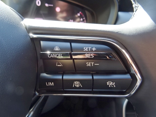 MAZDA CX-60 3.3 D Homura Automat-image-8