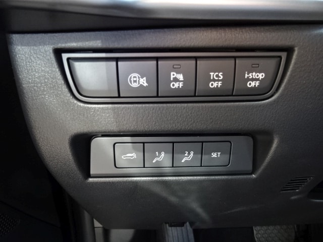 MAZDA CX-60 3.3 D Homura Automat-image-6