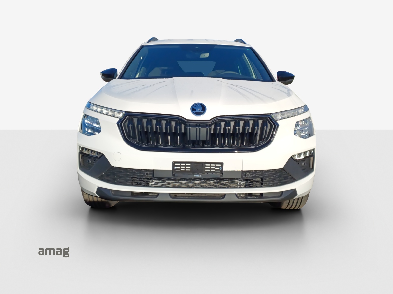 SKODA Kamiq 1.0 TSI Dynamic DSG-image-6