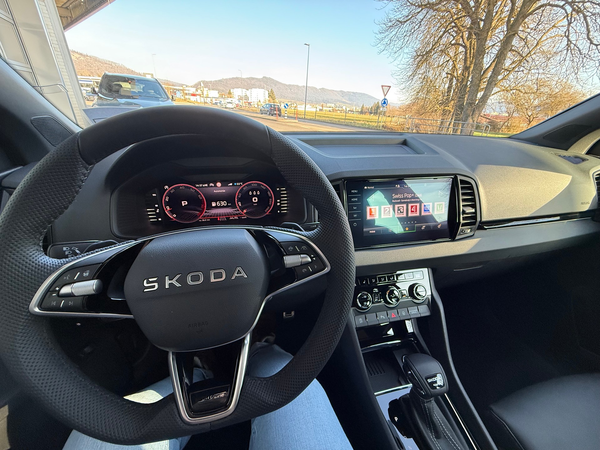 SKODA Karoq 2.0 TSI SportLine 4x4 DSG / VENDUE VERKAUFT-image-10