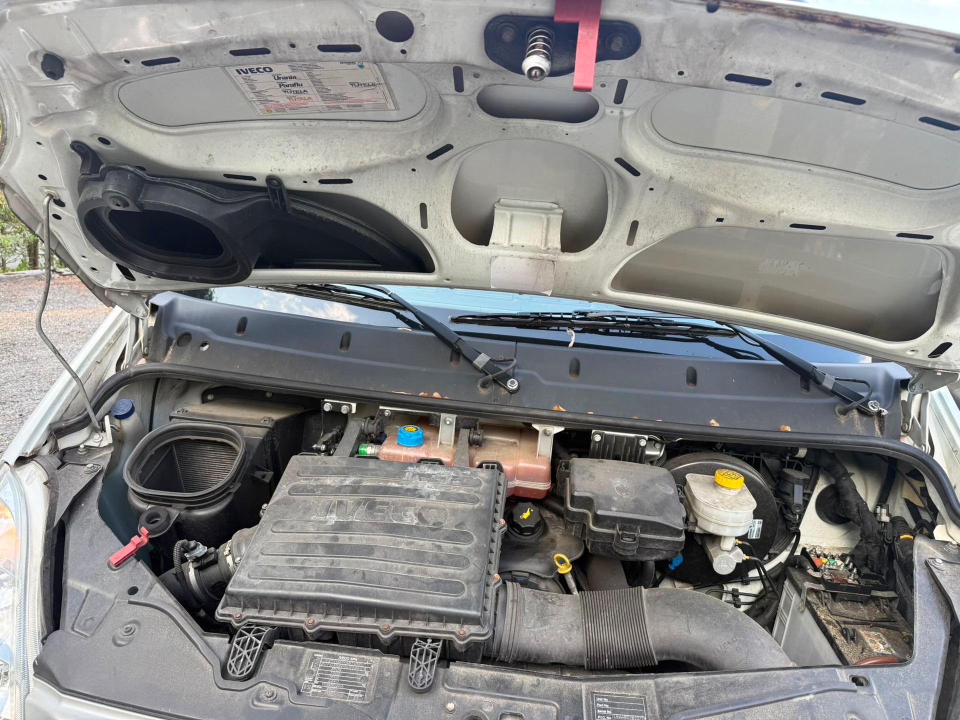 IVECO 35 S 13 V A-image-5