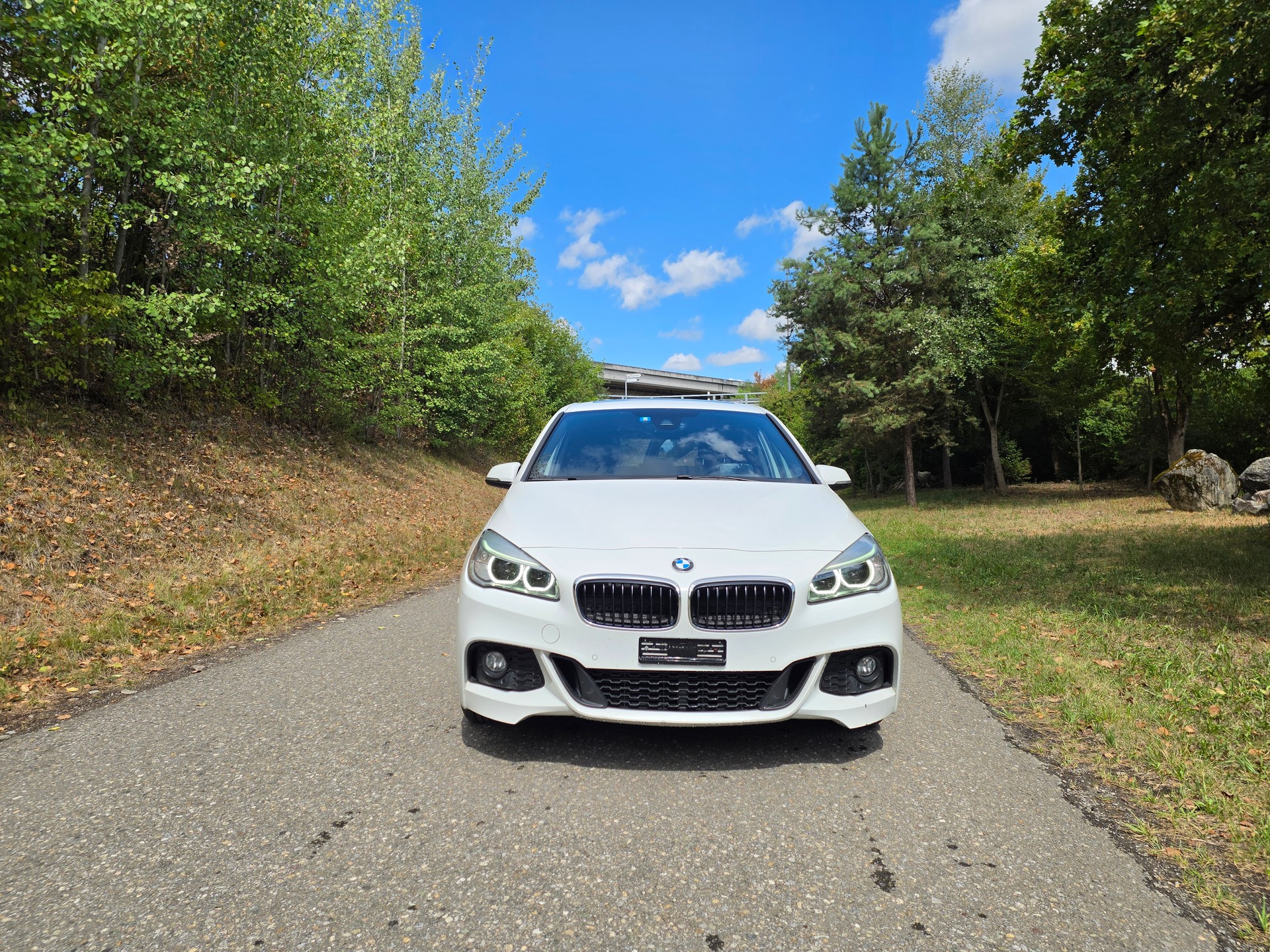 BMW 220d xDrive Gran Tourer M Sport Steptronic-image-2