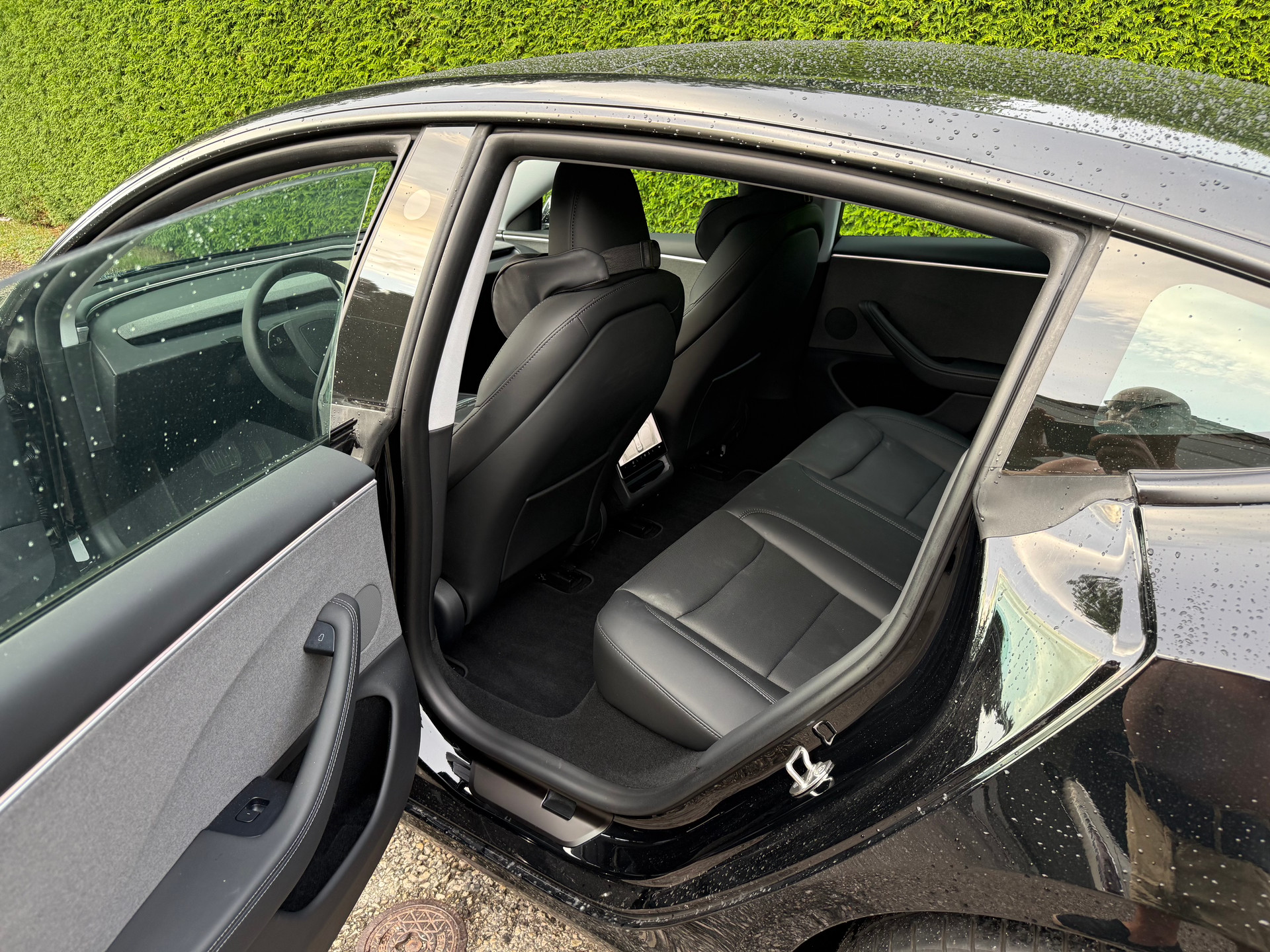 TESLA Basis-image-2
