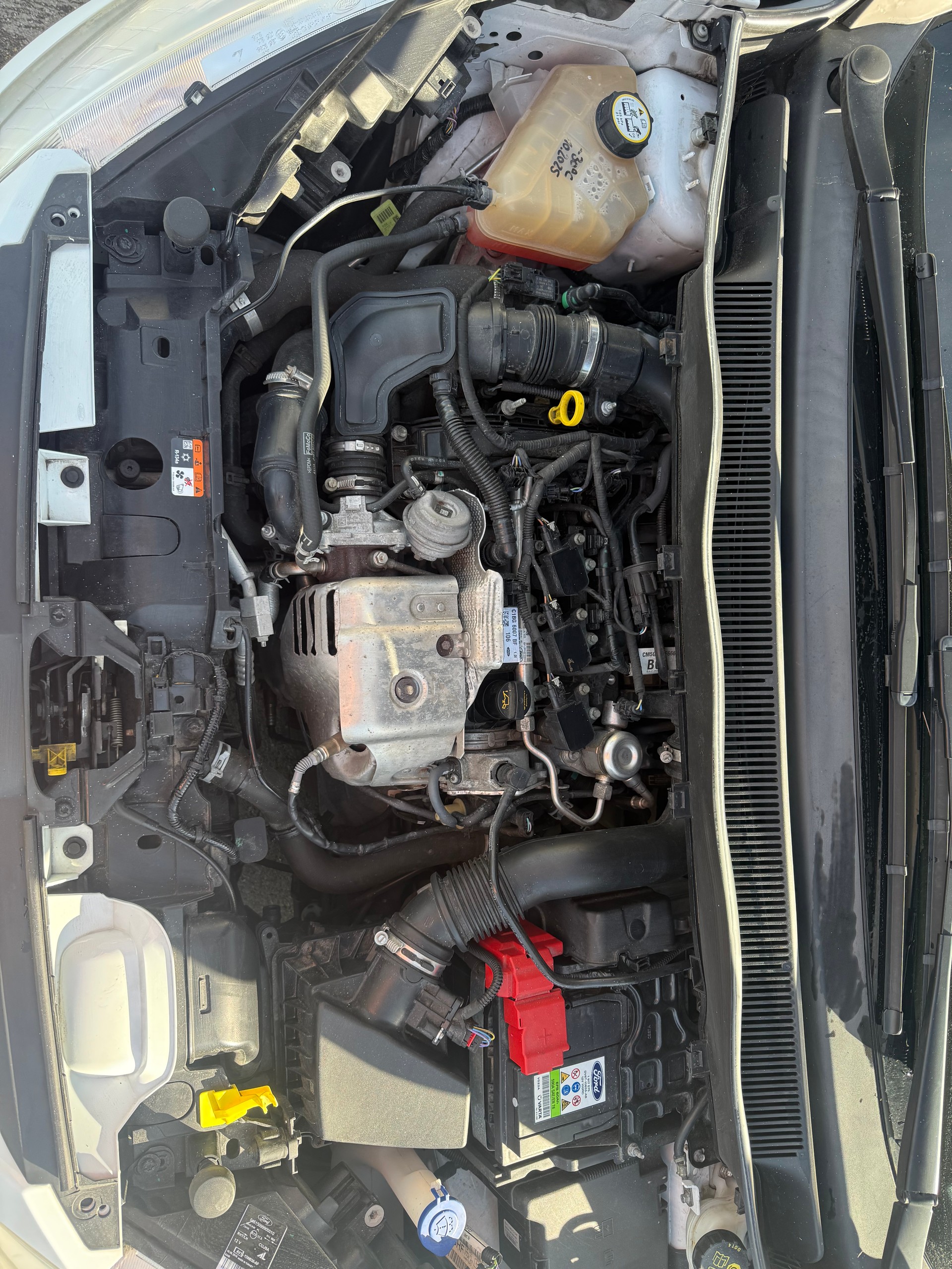 FORD B-Max 1.0 SCTi Sync Edition-image-13