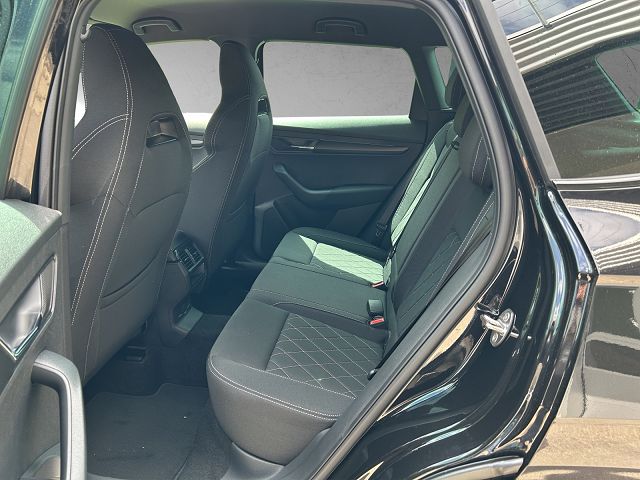SKODA Karoq 2.0 TSI Dynamic Limited Edition 4x4 DSG-image-8