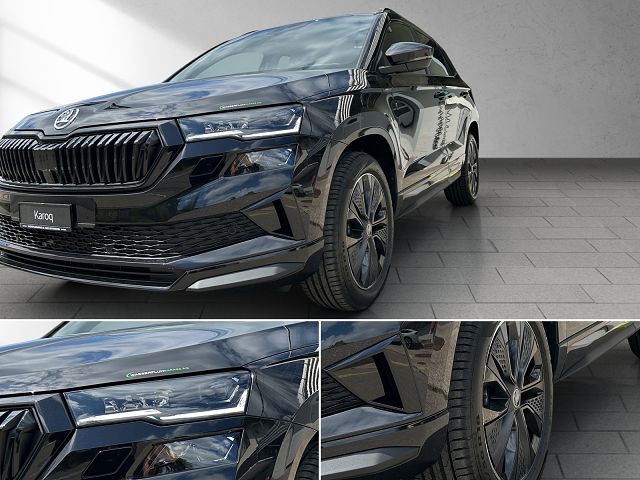 SKODA Karoq 2.0 TSI Dynamic Limited Edition 4x4 DSG-image-12