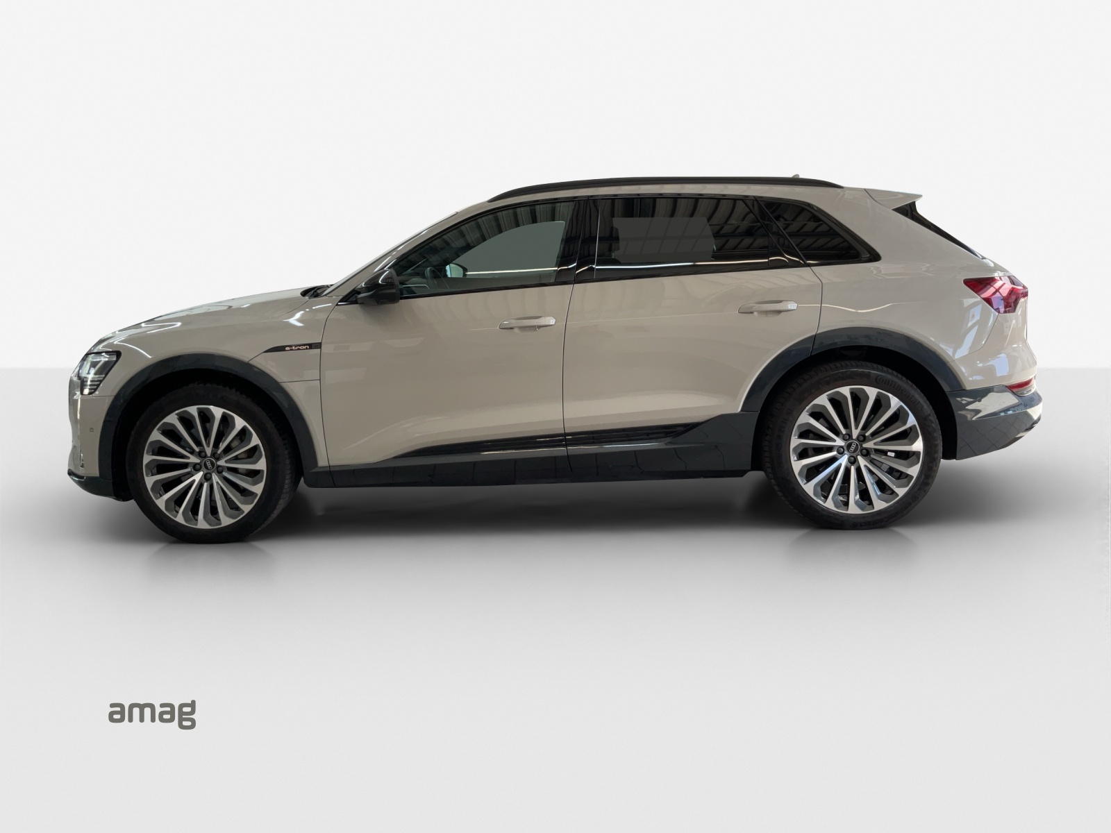 AUDI e-tron 55 Advanced quattro-image-1