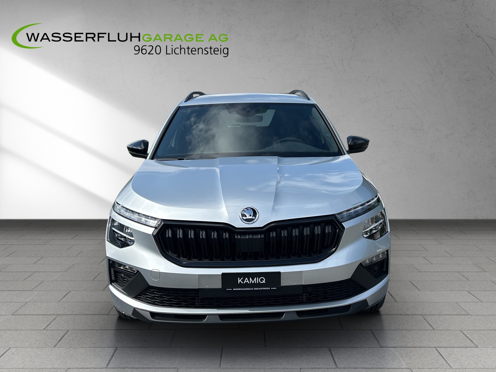 SKODA Kamiq 1.5 TSI Dynamic DSG-image-0