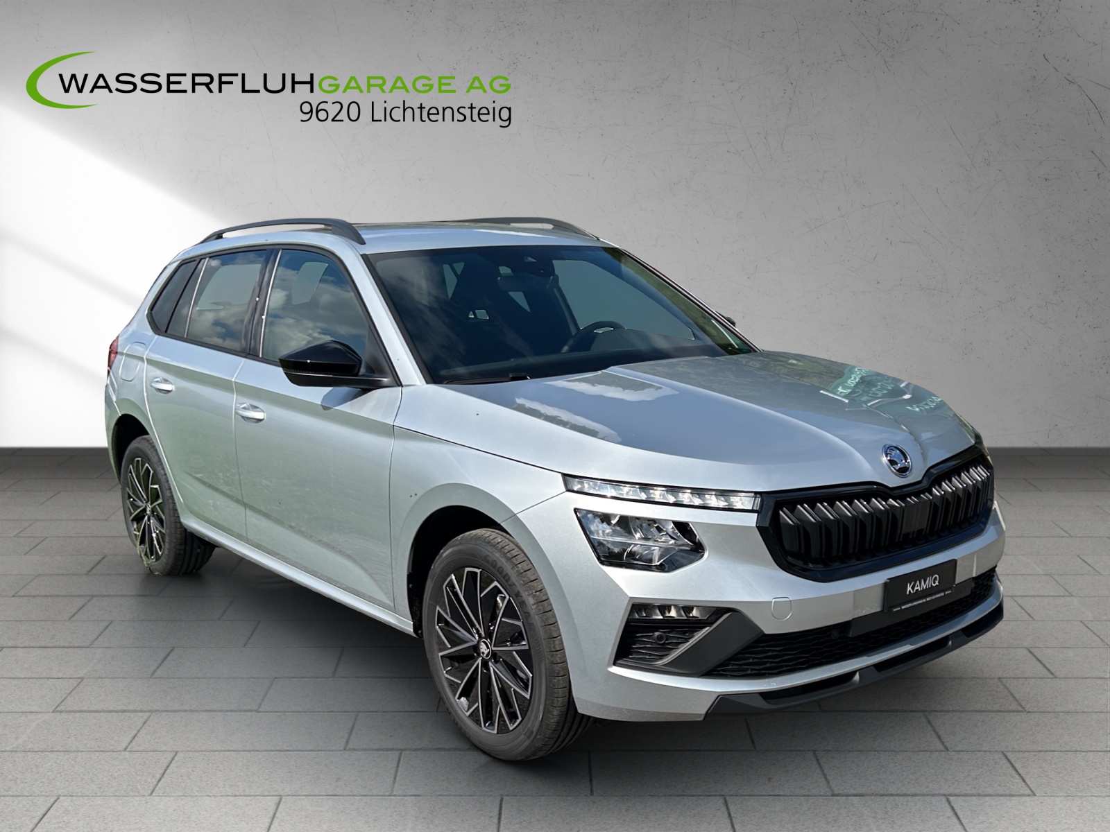 SKODA Kamiq 1.5 TSI Dynamic DSG-image-10