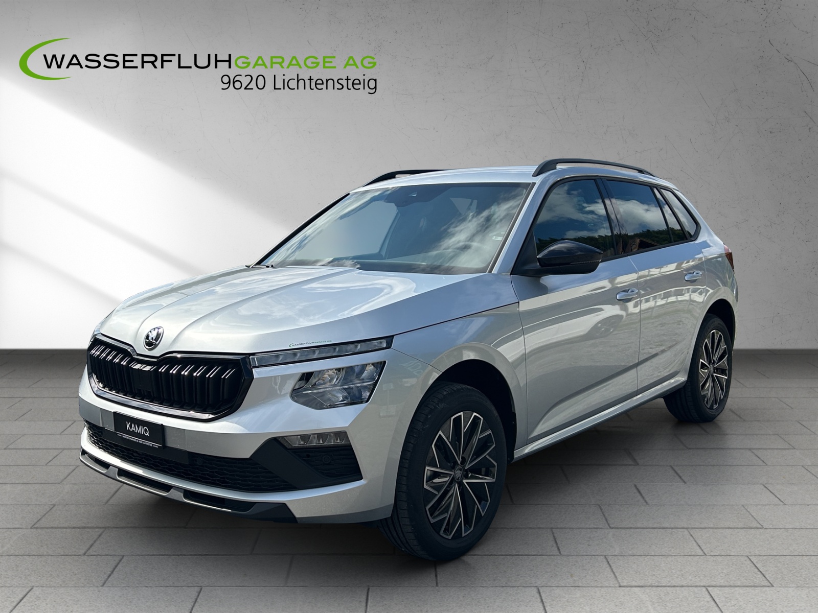 SKODA Kamiq 1.5 TSI Dynamic DSG-image-2