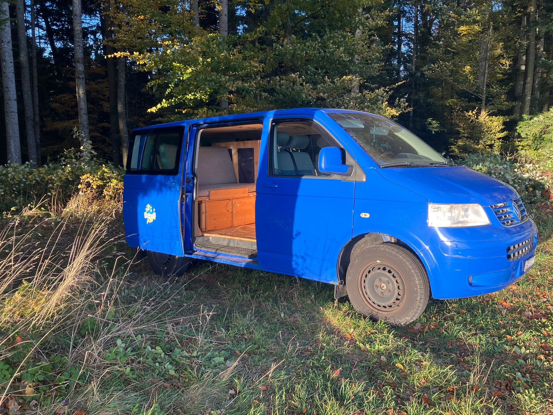 VW 2.5 TDI-image-4
