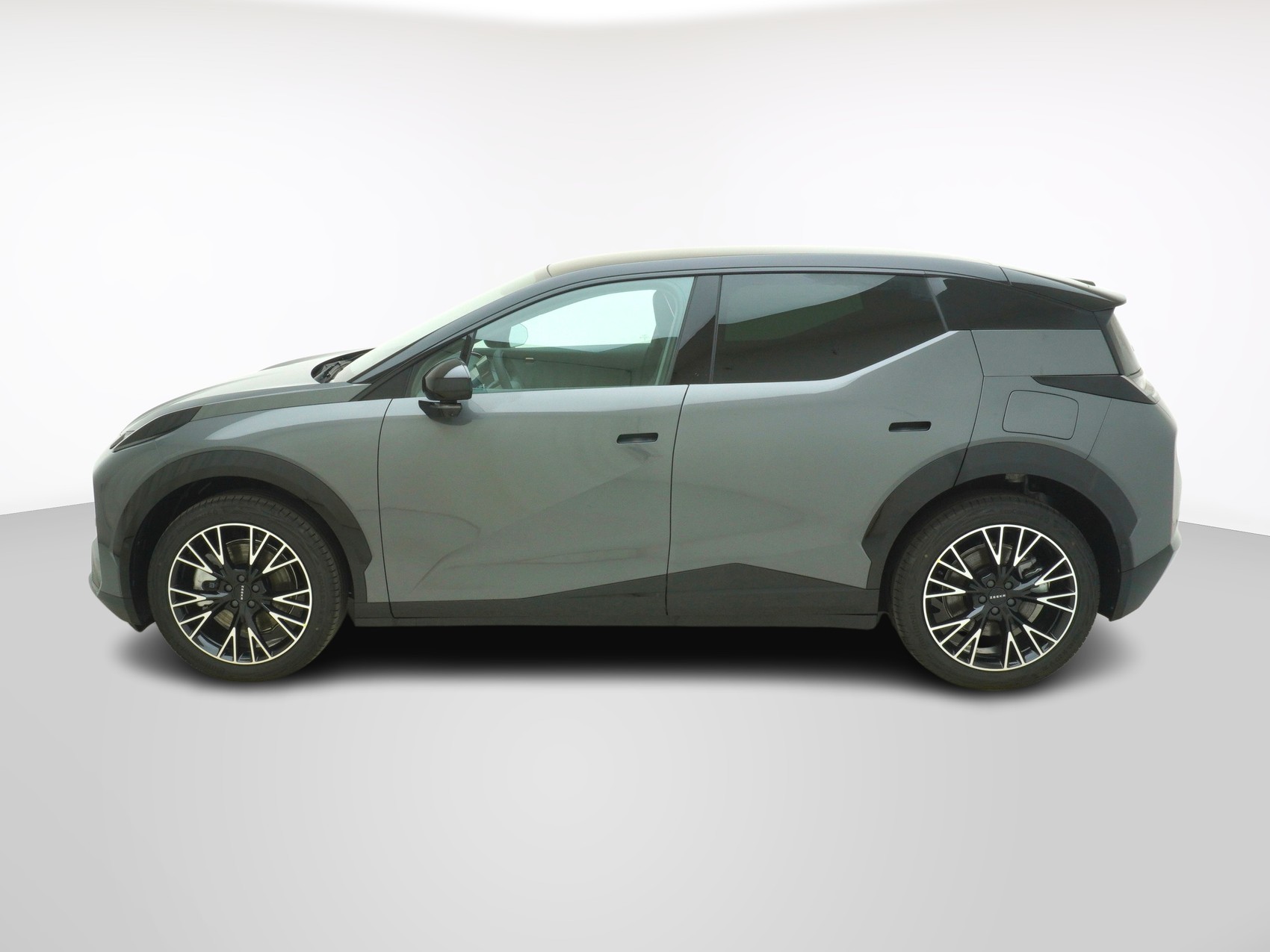 ZEEKR X Privilege AWD-image-1