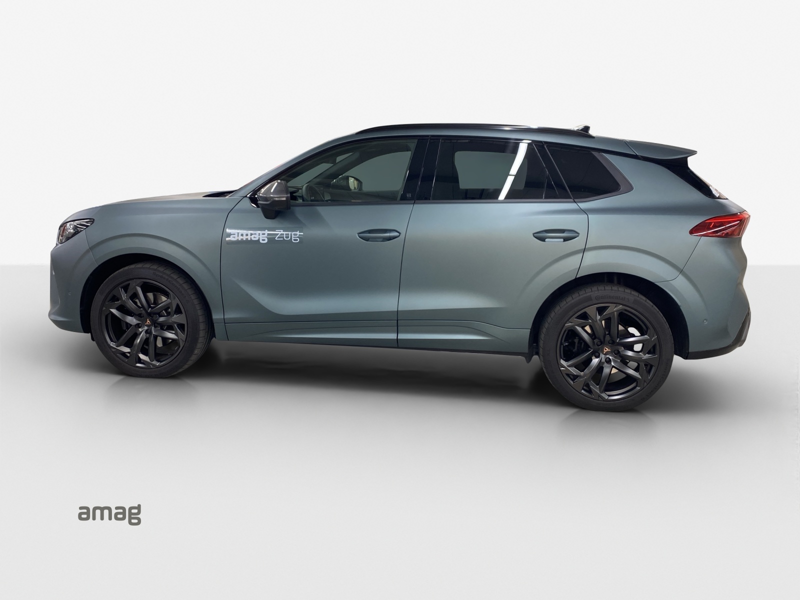 CUPRA Terramar 2.0 TSI DSG 4Drive Americas CUP-image-1