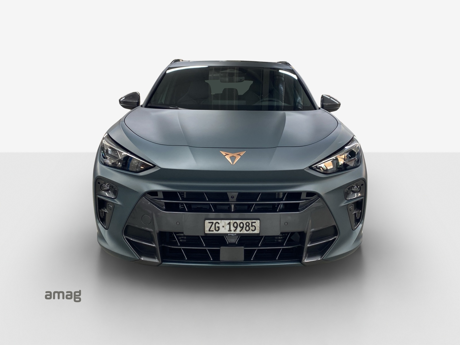 CUPRA Terramar 2.0 TSI DSG 4Drive Americas CUP-image-6