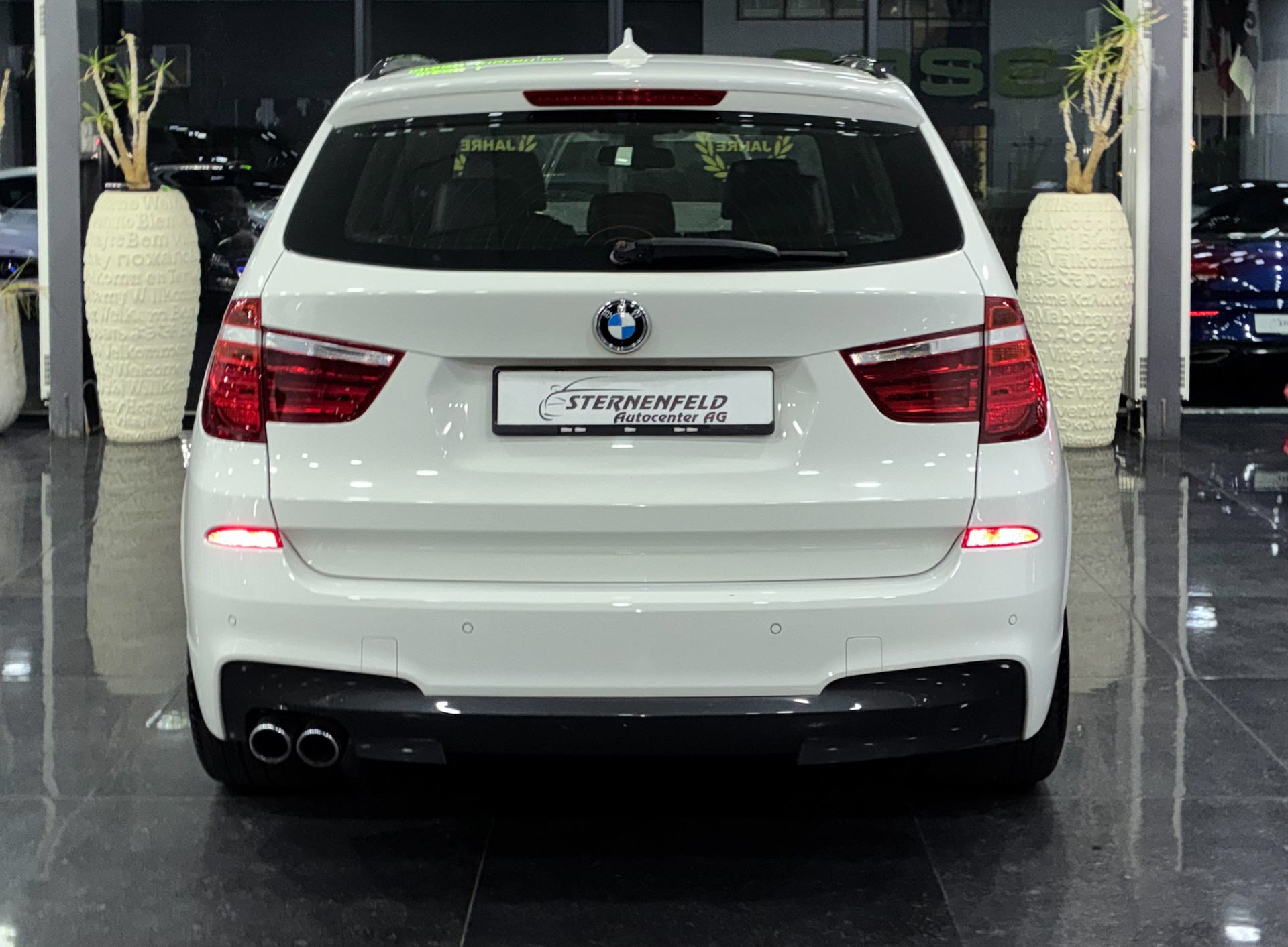 BMW X3 xDrive 30d Steptronic-image-3