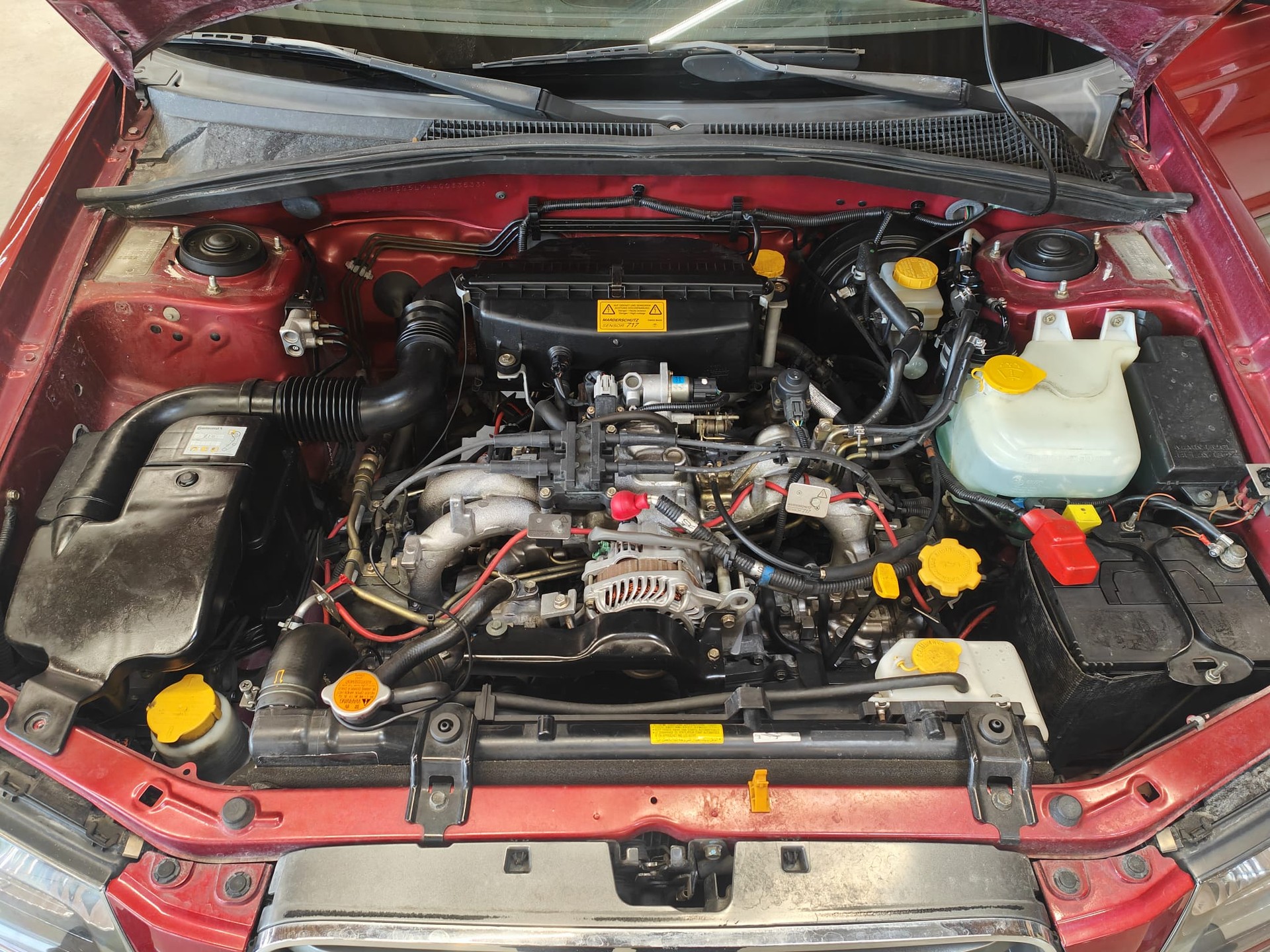 SUBARU 2.0 Advantage-image-3