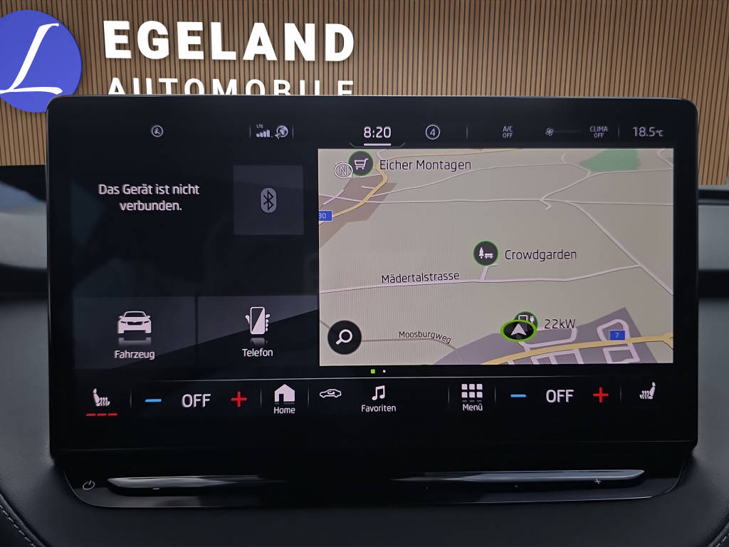 SKODA Enyaq iV 80x-image-20