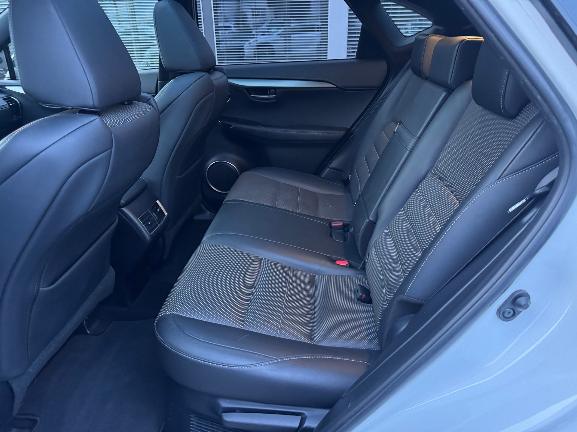 LEXUS NX 300h F-Sport E-Four Automatic-image-10
