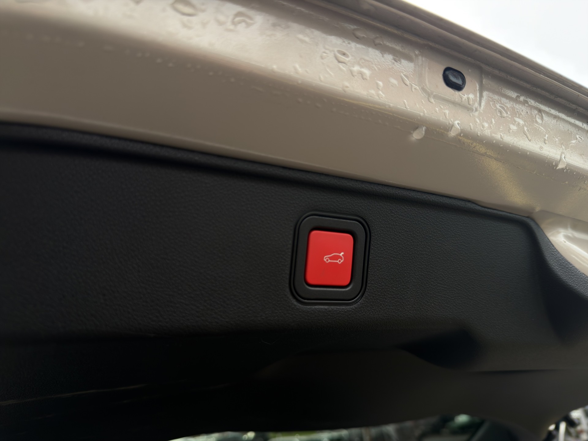 FIAT 600 1.2 Hybrid La Prima-image-20