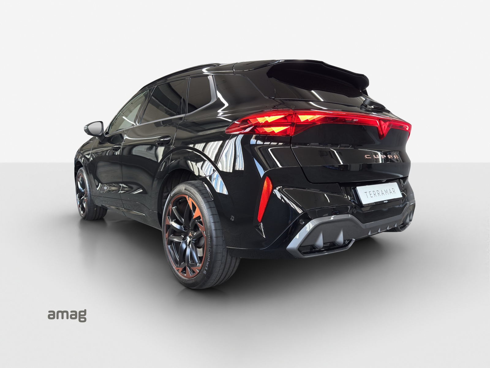 CUPRA Terramar 2.0 TSI DSG 4Drive VZ-image-1