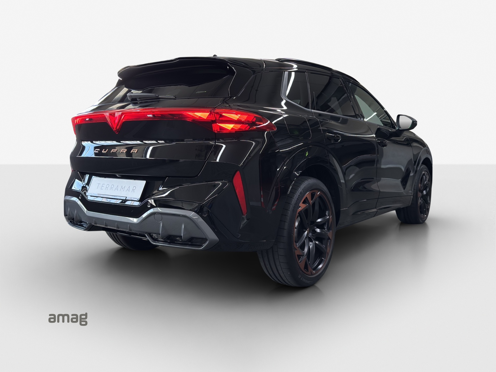 CUPRA Terramar 2.0 TSI DSG 4Drive VZ-image-3