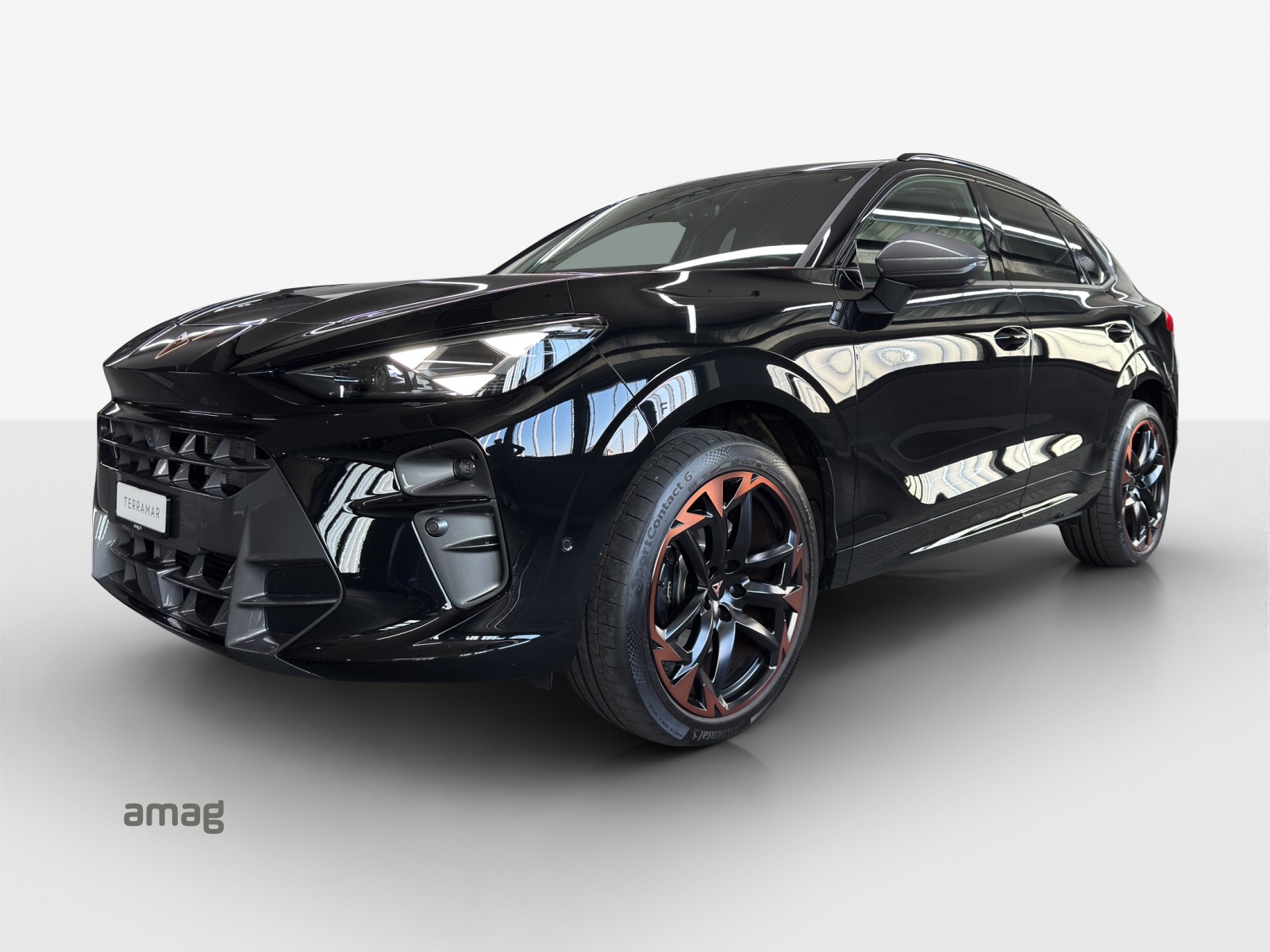 CUPRA Terramar 2.0 TSI DSG 4Drive VZ-image-0