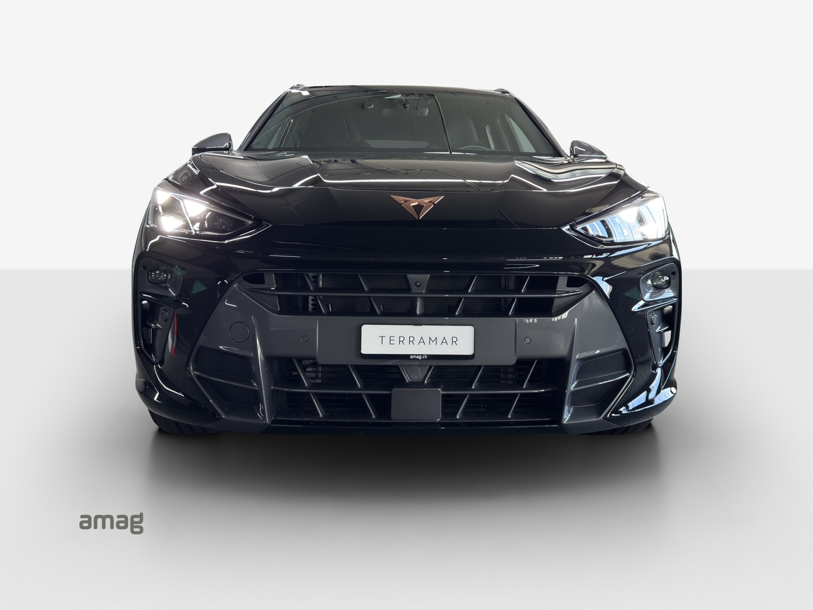 CUPRA Terramar 2.0 TSI DSG 4Drive VZ-image-5