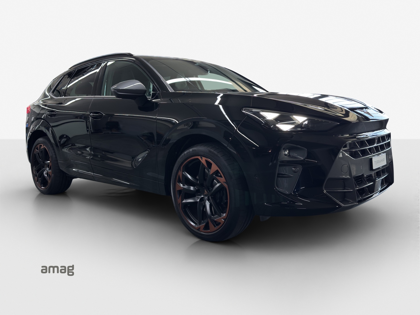 CUPRA Terramar 2.0 TSI DSG 4Drive VZ-image-4