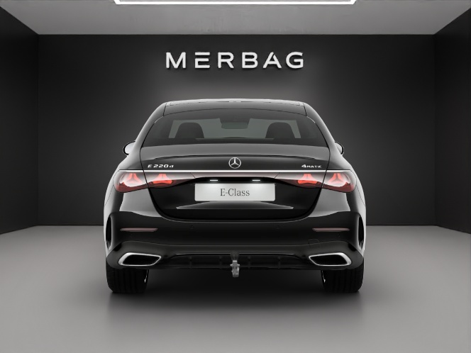 MERCEDES-BENZ E 220 d 4Matic 9G-Tronic-image-2